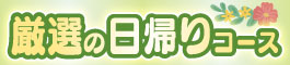 ロイヤル観光厳選の日帰りコース