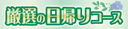 ロイヤル観光厳選の日帰りコース