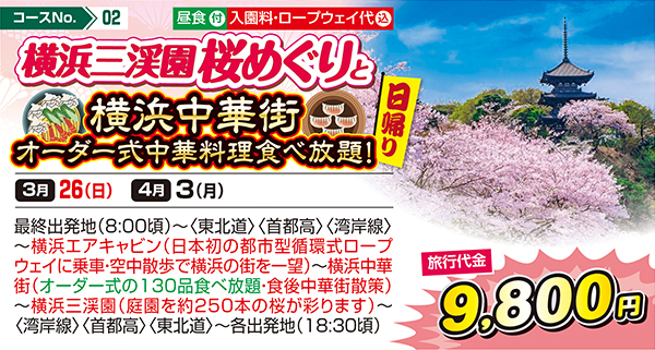 横浜三渓園桜めぐりと横浜中華街 オーダー式中華料理食べ放題！（日帰り）
