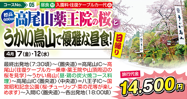 高尾山薬王院の桜とうかい鳥山で優雅な昼食！（日帰り）