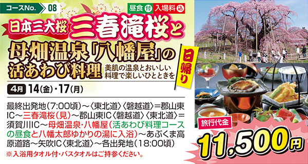 日本三大桜 三春滝桜と母畑温泉「八幡屋」の活あわび料理 美肌の温泉とおいしい料理で楽しいひとときを（日帰り）