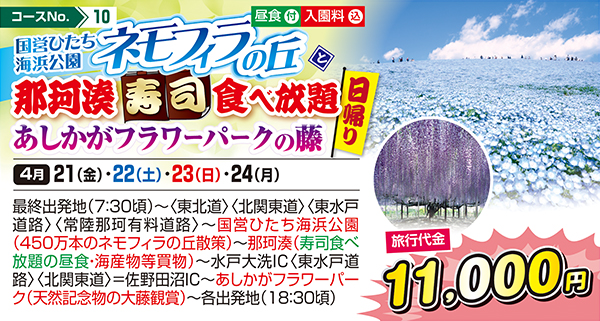 国営ひたち海浜公園 ネモフィラの丘と那珂湊寿司食べ放題 あしかがフラワーパークの藤（日帰り）