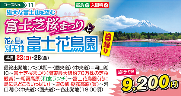 雄大な富士山を望む 富士芝桜まつりと花と鳥の別天地 富士花鳥園（日帰り）