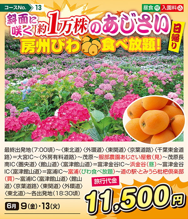 斜面に咲く約1万株のあじさい 房州びわ食べ放題!（日帰り）