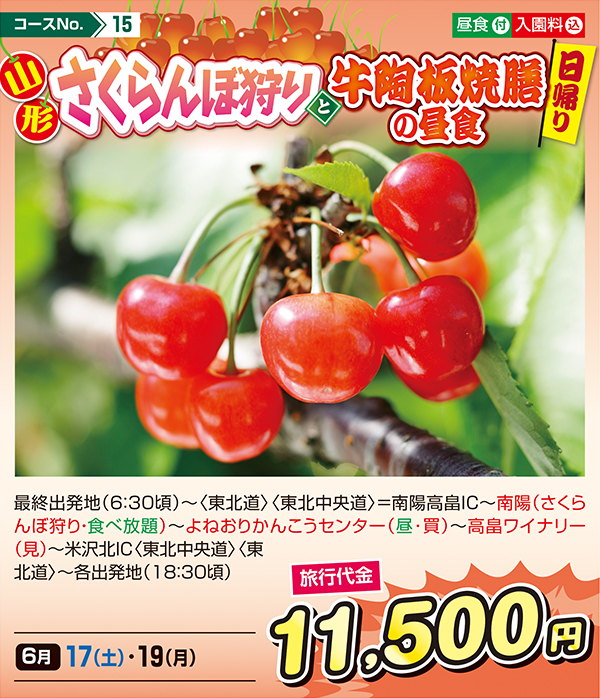 山形さくらんぼ狩りと牛陶板焼膳の昼食（日帰り）
