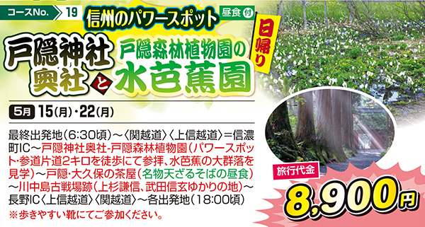 信州のパワースポット 戸隠神社奥社と戸隠森林植物園の水芭蕉園（日帰り）
