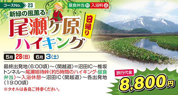 新緑の風薫る 尾瀬ヶ原ハイキング（日帰り）