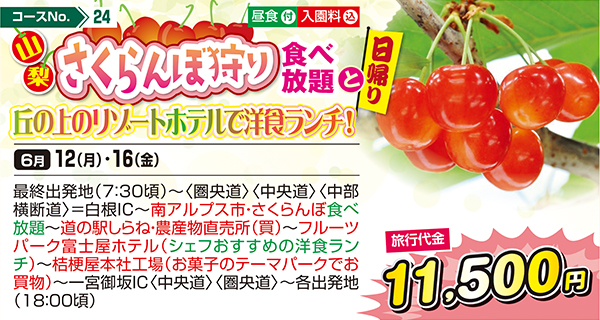 山梨さくらんぼ狩り食べ放題と丘の上のリゾートホテルで洋食ランチ！（日帰り）