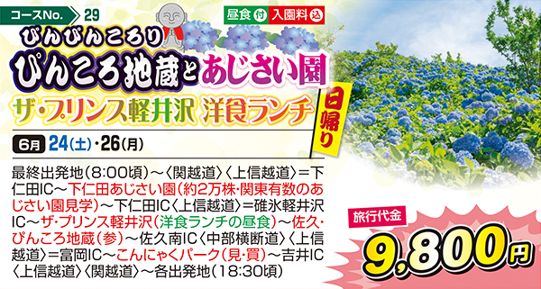 ぴんぴんころりぴんころ地蔵とあじさい園 ザ・プリンス軽井沢 洋食ランチ（日帰り）