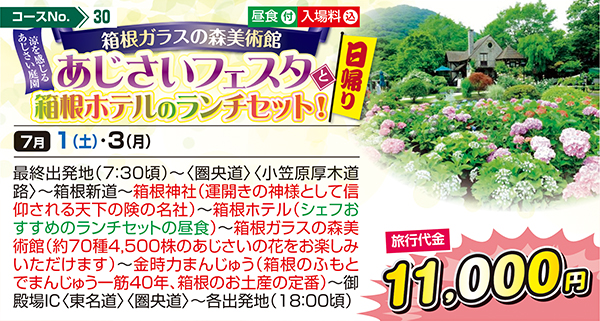 箱根ガラスの森美術館 涼を感じるあじさい庭園 あじさいフェスタと箱根ホテルのランチセット！（日帰り）
