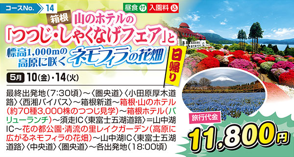 箱根 山のホテルの「つつじ・しゃくなげフェア」と標高1,000mの高原に咲くネモフィラの花畑（日帰り）