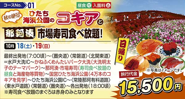 秋の絶景　ひたち海浜公園のコキアと那珂湊市場寿司食べ放題！（日帰り）