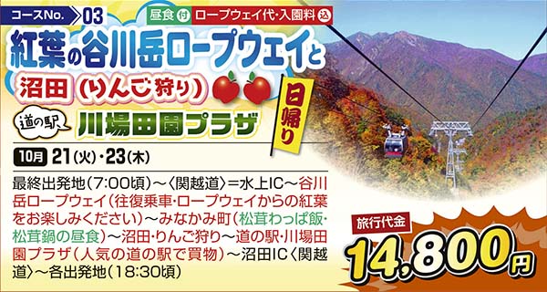 紅葉の谷川岳ロープウェイと沼田（りんご狩り）　道の駅川場田園プラザ（日帰り）