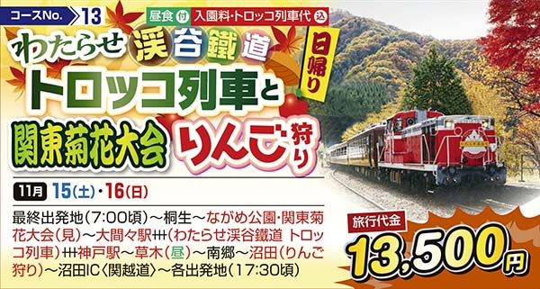 わたらせ渓谷鐵道トロッコ列車と　関東菊花大会　りんご狩り（日帰り）