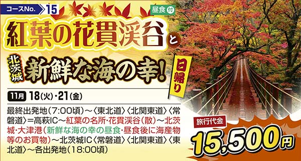 紅葉の花貫渓谷と北茨城新鮮な海の幸！（日帰り）