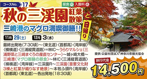 秋の三渓園紅葉散策と三崎港のマグロ満喫御膳!!（日帰り）