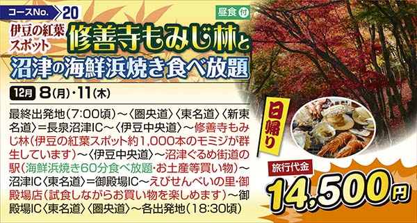 伊豆の紅葉スポット　修善寺もみじ林と沼津の海鮮浜焼き食べ放題（日帰り）
