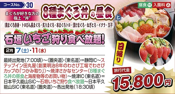 まぐろが好きな方の極上“丼”　8種まぐろ丼の昼食と（南まぐろ赤身・トロびん長まぐろ・炙りまぐろ・本まぐろトロ・漬けまぐろ・ねぎとろ・イクラ・玉子）　石垣いちご狩り食べ放題！（日帰り）