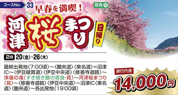 早春を満喫！　河津桜まつり（日帰り）