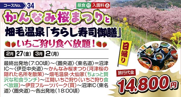 かんなみ桜まつりと畑毛温泉「ちらし寿司御膳」　いちご狩り食べ放題！（日帰り）