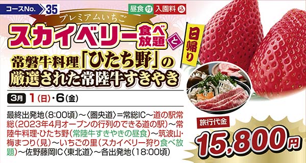 プレミアムいちごスカイベリー食べ放題と常磐牛料理「ひたち野」の厳選された常陸牛すきやき（日帰り）
