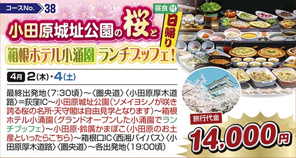 小田原城址公園の桜と箱根ホテル小涌園 ランチブッフェ！（日帰り）