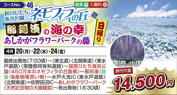 国営ひたち海浜公園ネモフィラの丘と那珂湊の海の幸　あしかがフラワーパークの藤（日帰り）