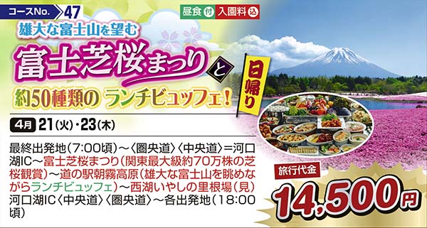 雄大な富士山を望む富士芝桜まつりと約50種類のランチビュッフェ！（日帰り）