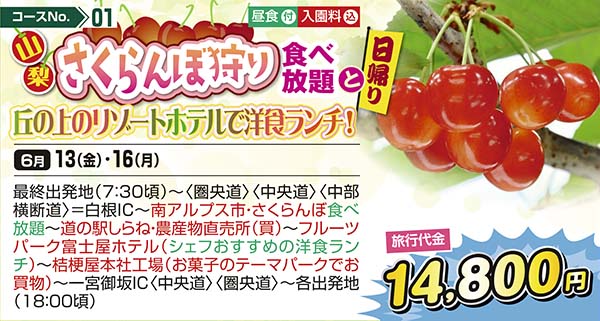 No.01　山梨さくらんぼ狩り食べ放題と丘の上のリゾートホテルで洋食ランチ！（日帰り）
