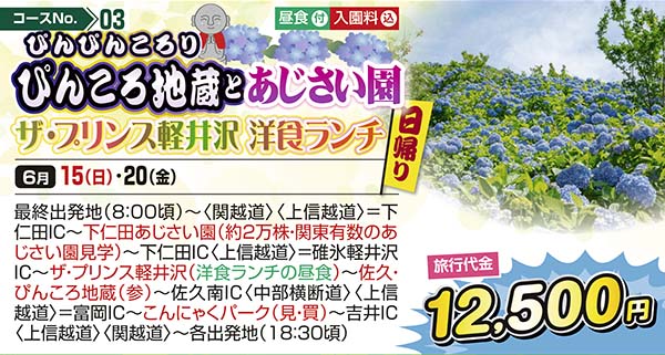 No.03　ぴんぴんころり ぴんころ地蔵とあじさい園 ザ・プリンス軽井沢 洋食ランチ（日帰り）