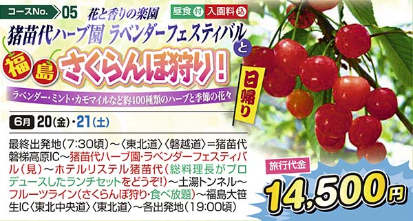 No.05 花と香りの楽園 猪苗代ハーブ園 ラベンダーフェスティバル 福島さくらんぼ狩り! ラベンダー・ミント・カモマイルなど約400種類のハーブと季節の花々（日帰り）