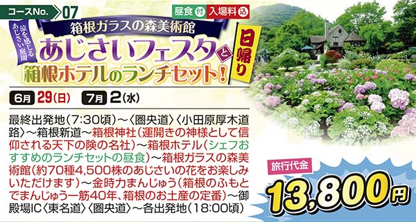No.07 箱根ガラスの森美術館 涼を感じるあじさい庭園 あじさいフェスタと箱根ホテルのランチセット！（日帰り）