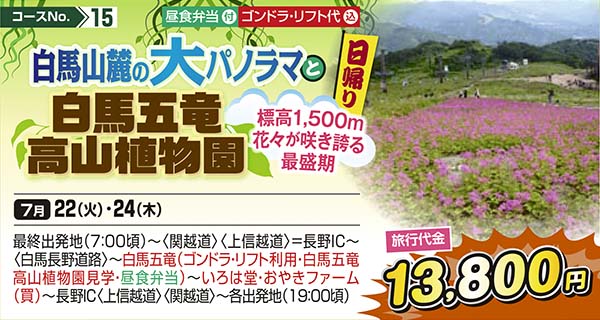 No.15 白馬山麓の大パノラマ 白馬五竜高山植物園 標高1,500m花々が咲き誇る最盛期（日帰り）
