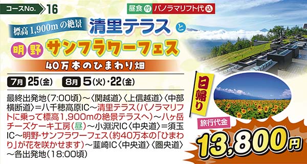 No.16 標高1,900mの絶景 清里テラスと明野サンフラワーフェス 40万本のひまわり畑（日帰り）