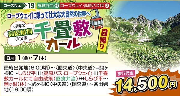 No.19 ロープウェイに乗って壮大な大自然の世界へ 可憐な高原植物の宝庫 千畳敷カール（日帰り）