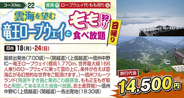 No.22 雲海を望む竜王ロープウェイともも狩り食べ放題（日帰り）