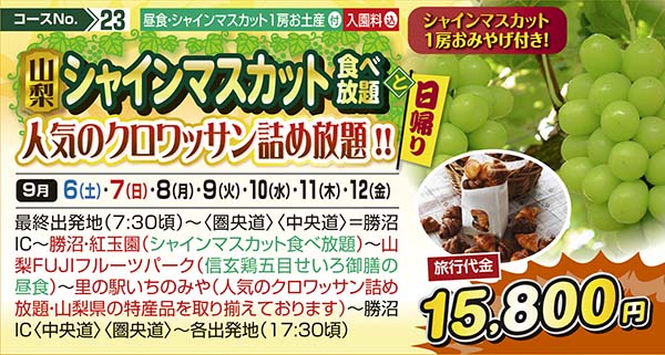 No.23 山梨シャインマスカット食べ放題と人気のクロワッサン詰め放題!!（日帰り）