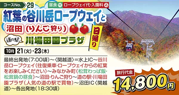 No.29 紅葉の谷川岳ロープウェイと沼田（りんご狩り） 道の駅川場田園プラザ（日帰り）