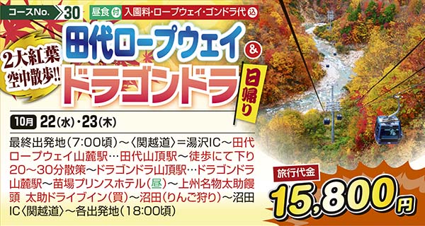 No.30 2大紅葉空中散歩!! 田代ロープウェイとドラゴンドラ（日帰り）