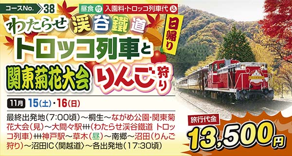 No.38 わたらせ渓谷鐵道トロッコ列車と関東菊花大会 りんご狩り（日帰り）