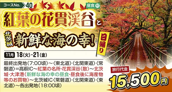 No.40 紅葉の花貫渓谷と北茨城新鮮な海の幸！（日帰り）