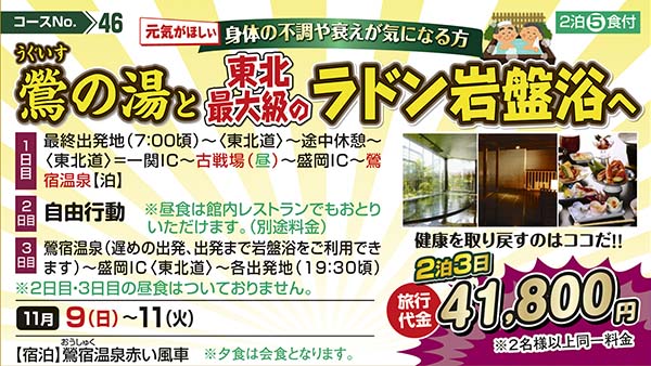 No.46　元気がほしい　身体の不調や衰えが気になる方 鶯（うぐいす）の湯と東北最大級のラドン岩盤浴へ（宿泊）