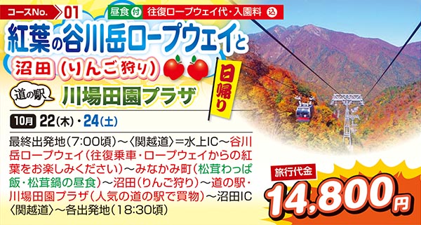 紅葉の谷川岳ロープウェイと沼田（りんご狩り）道の駅川場田園プラザ（日帰り）