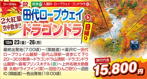 2大紅葉空中散歩!! 田代ロープウェイ＆ドラゴンドラ（日帰り）