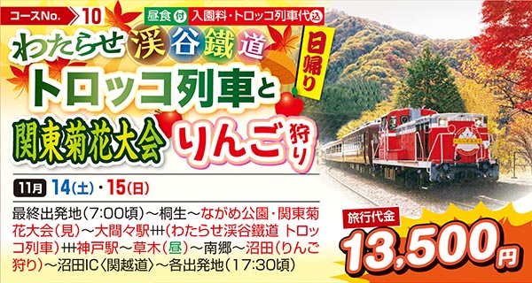 わたらせ渓谷鉄道トロッコ列車と関東菊花大会　りんご狩り（日帰り）