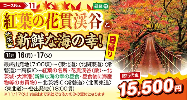 紅葉の花貫渓谷と北茨城新鮮な海の幸！（日帰り）