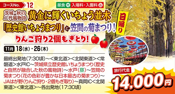 茨城・秋の二代風物詩　黄金に輝くいちょう並木「歴史館いちょうまつり」と笠間の菊まつり！りんご狩り2個もぎとり！（日帰り）