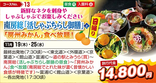 新鮮なネタを刺身やしゃぶしゃぶでお楽しみください　南房総「活しゃぶちらし御膳」と「房州みかん」食べ放題！（日帰り）