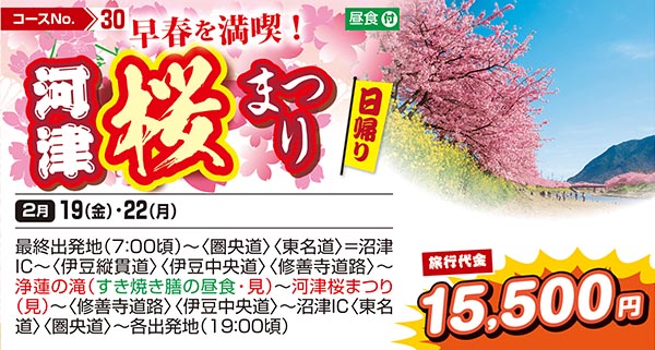 早春を満喫！河津桜まつり（日帰り）