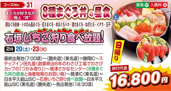 まぐろが好きな方の極上“丼”８種まぐろ丼の昼食と（南まぐろ赤身・トロびん長まぐろ・炙りまぐろ・本まぐろトロ・漬けまぐろ・ねぎとろ・イクラ・玉子）石垣いちご狩り食べ放題！（日帰り）
